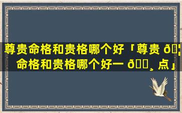尊贵命格和贵格哪个好「尊贵 🦉 命格和贵格哪个好一 🕸 点」